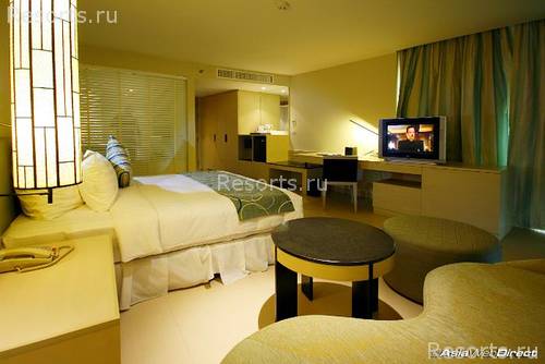 Millennium Resort Patong 49